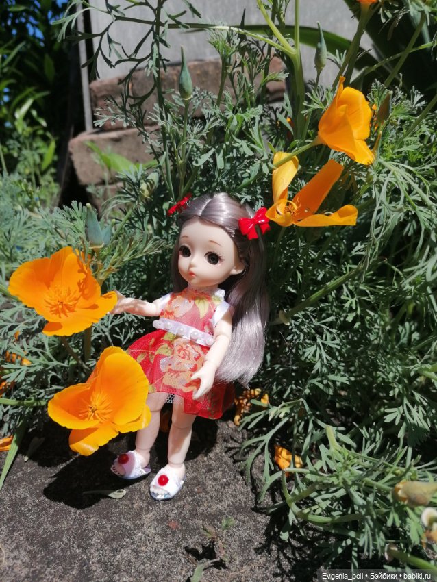 Лёлькины обновки или лилейная принцесса (фото 4)