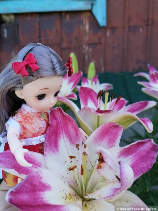 Лёлькины обновки или лилейная принцесса (фото 3)