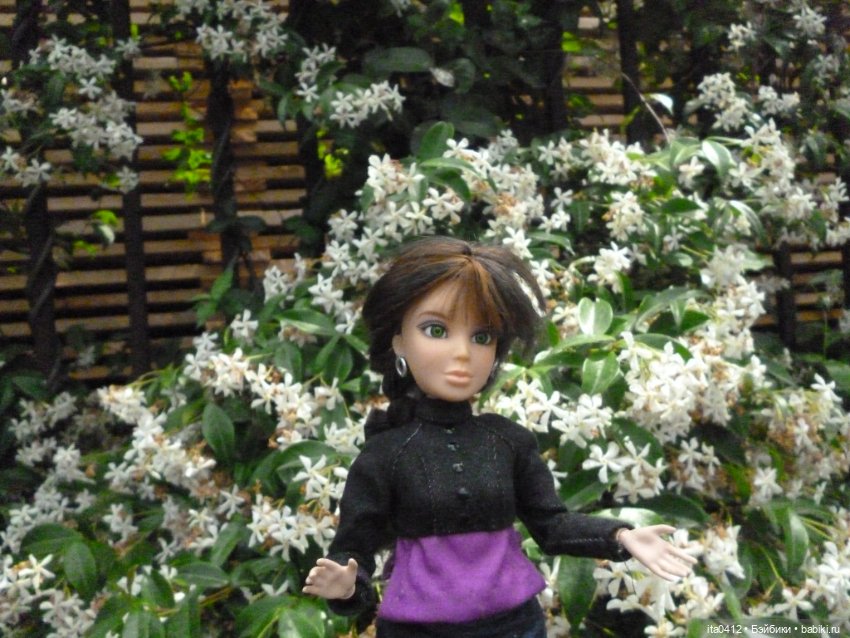 Барби Йога Джойс пухля и гибриды на её основе