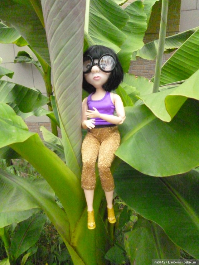 Барби Йога Джойс пухля и гибриды на её основе