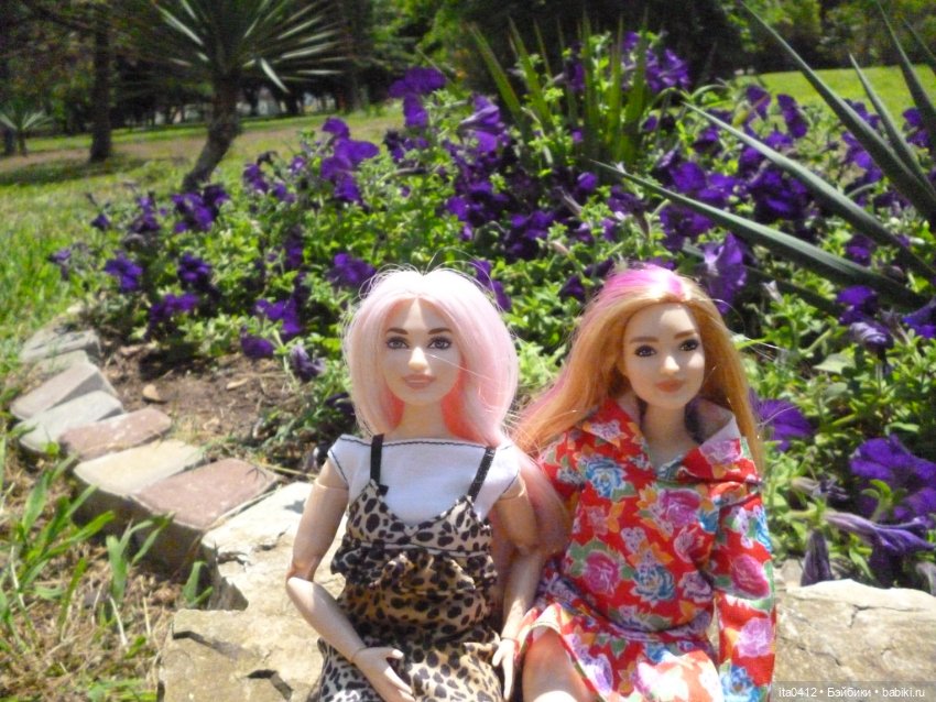 Барби Йога Джойс пухля и гибриды на её основе