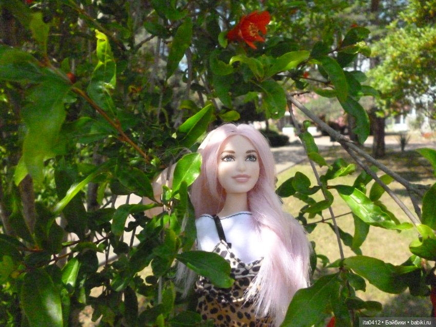 Барби Йога Джойс пухля и гибриды на её основе