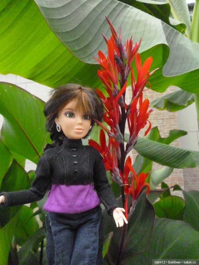 Барби Йога Джойс пухля и гибриды на её основе