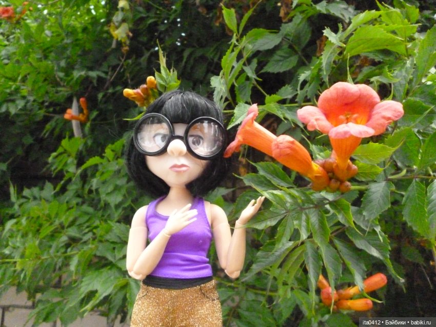 Барби Йога Джойс пухля и гибриды на её основе