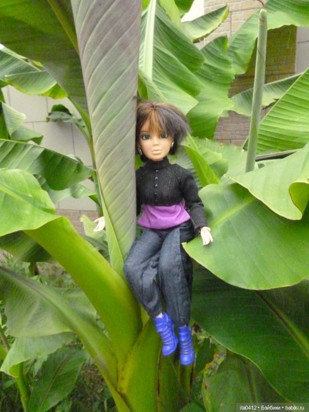 Барби Йога Джойс пухля и гибриды на её основе