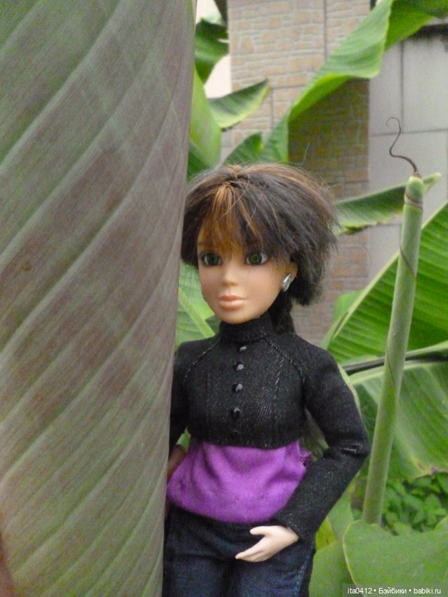 Барби Йога Джойс пухля и гибриды на её основе