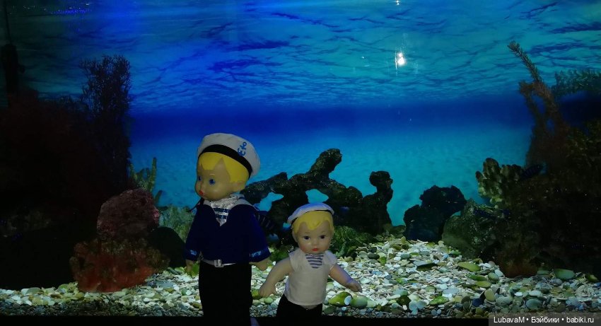 Прогулка Володьки и Алешки (фото 4)