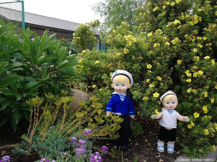 Прогулка Володьки и Алешки (фото 5)