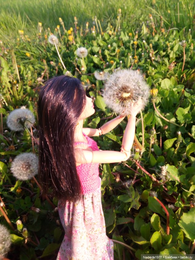 Наши новенькие и обновочки