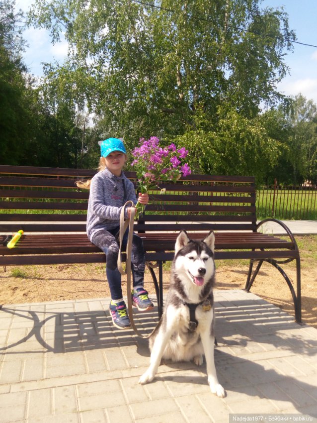 Наши новенькие и обновочки