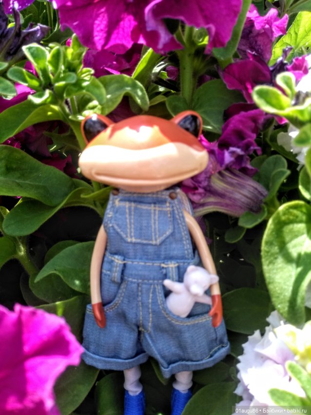 Лягушка Куба — Коллекционные куклы разных авторов (Разное): редкие бренды