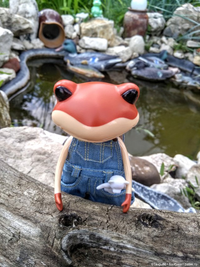 Лягушка Куба — Коллекционные куклы разных авторов (Разное): редкие бренды (фото 10)