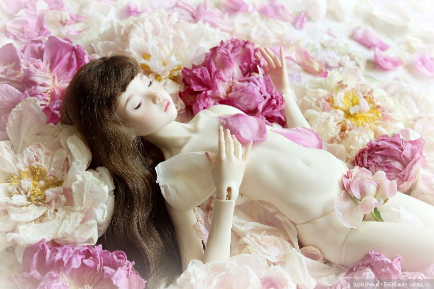 Файлин и цветочная постель для феи (фото 2)