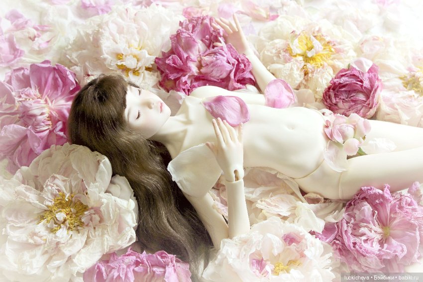 Файлин и цветочная постель для феи (фото 4)