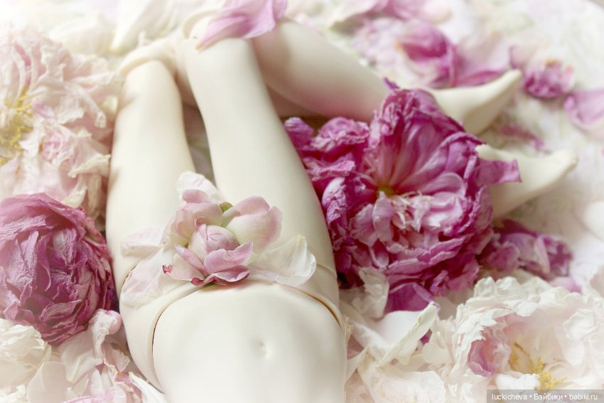 Файлин и цветочная постель для феи (фото 8)