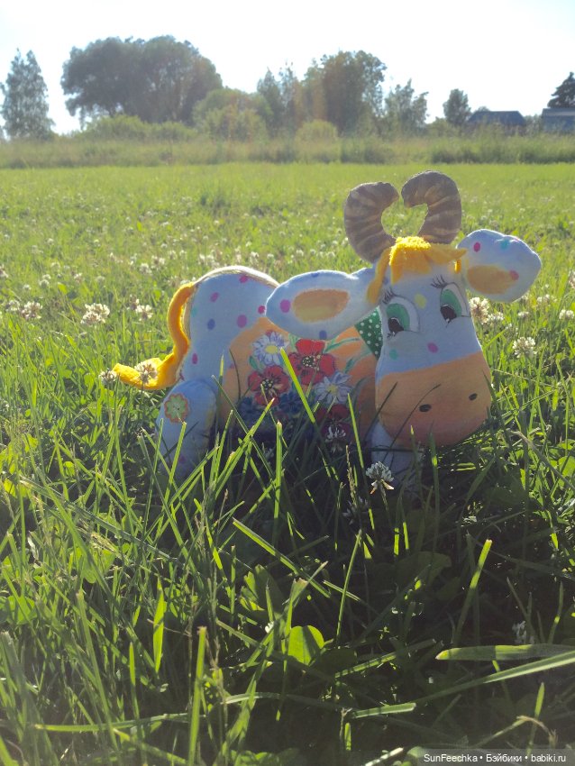 Коровы тоже любят фотографироваться (фото 2)