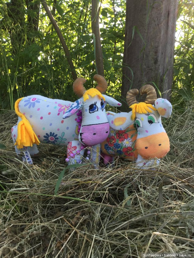 Коровы тоже любят фотографироваться (фото 9)