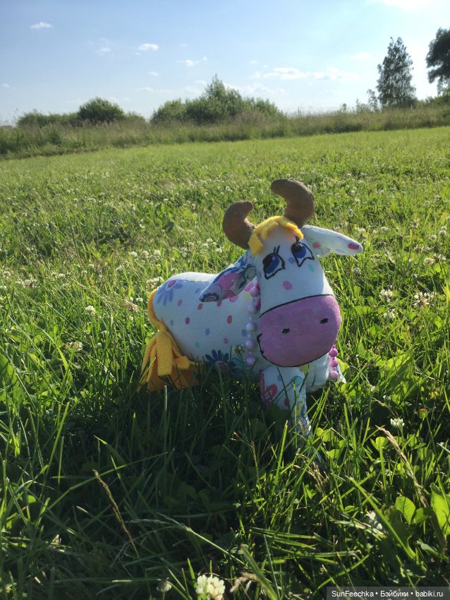 Коровы тоже любят фотографироваться