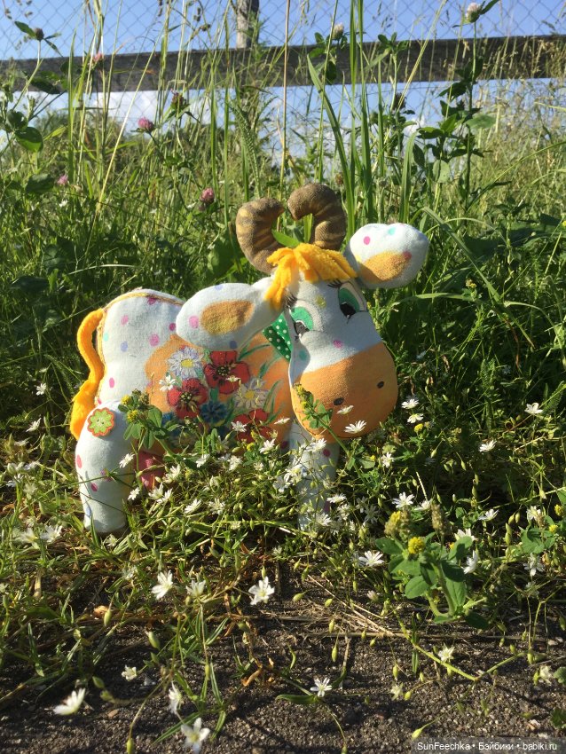 Коровы тоже любят фотографироваться (фото 4)