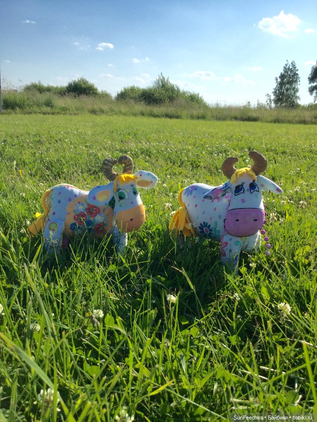 Коровы тоже любят фотографироваться (фото 3)