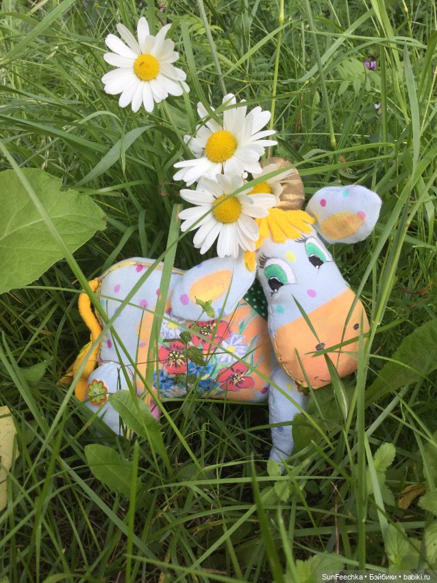 Коровы тоже любят фотографироваться (фото 6)