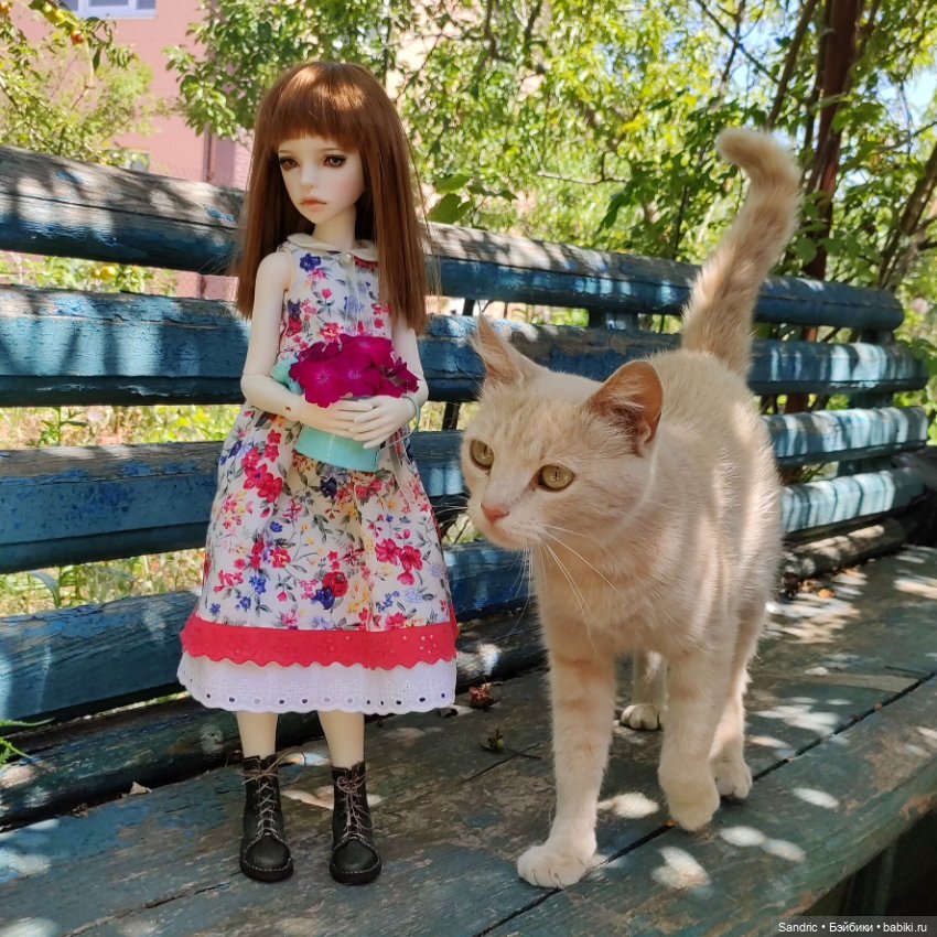 На дачке — Куклы DIM (Doll in Mind): корейские BJD (БЖД) (фото 8)