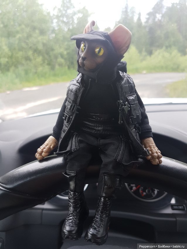 В полку котофеев прибыло — Коллекционные куклы разных авторов (Разное): редкие бренды (фото 5)