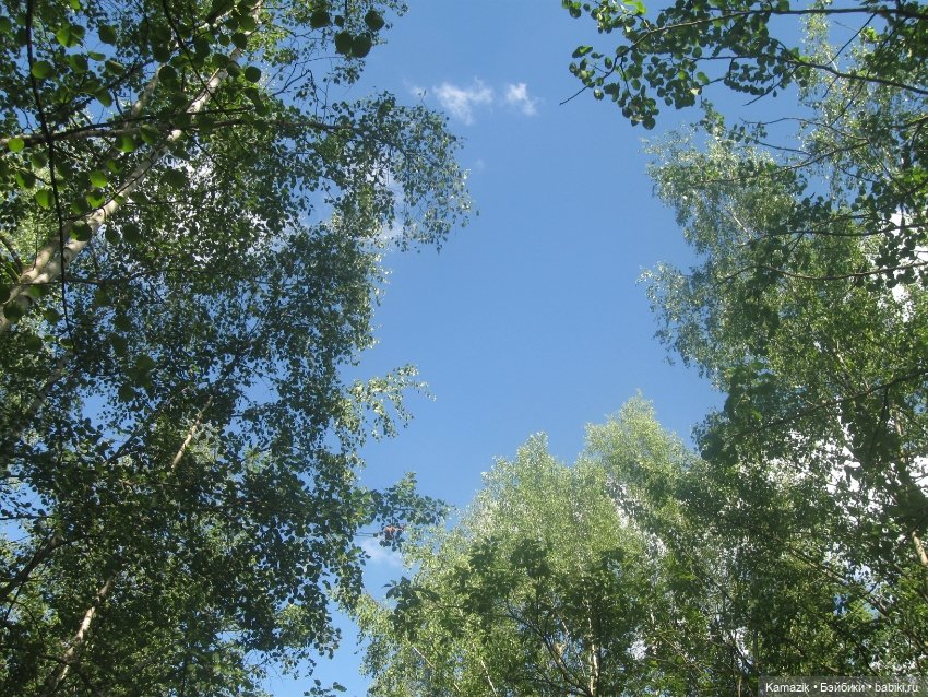 Лилит. Моя загадочная — Разные шарнирные куклы (не БЖД): редкие