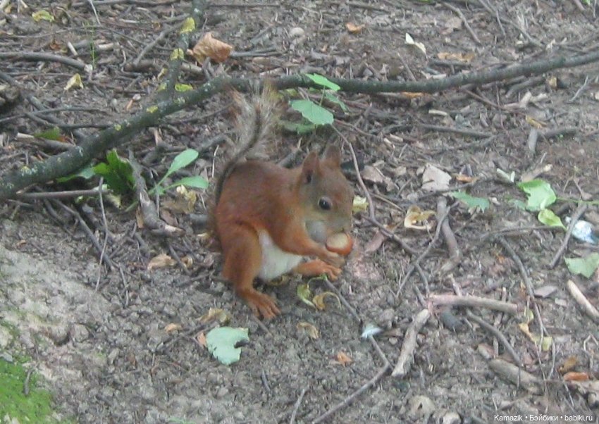 Лилит. Моя загадочная — Разные шарнирные куклы (не БЖД): редкие