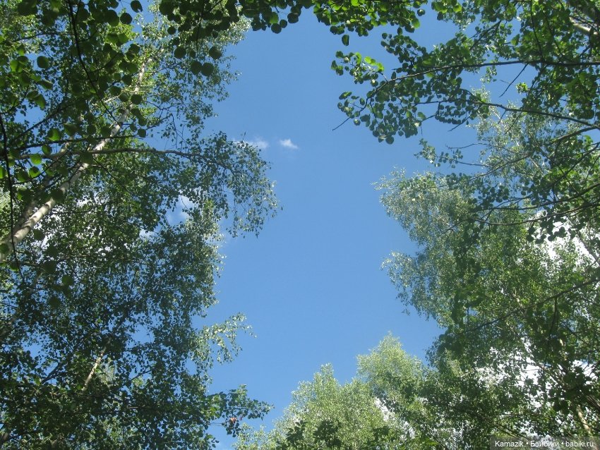 Лилит. Моя загадочная — Разные шарнирные куклы (не БЖД): редкие (фото 10)