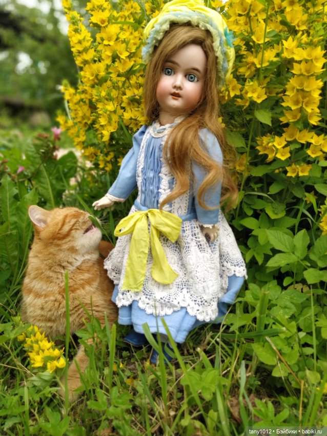 Голубоглазая красавица Kuhnlenz