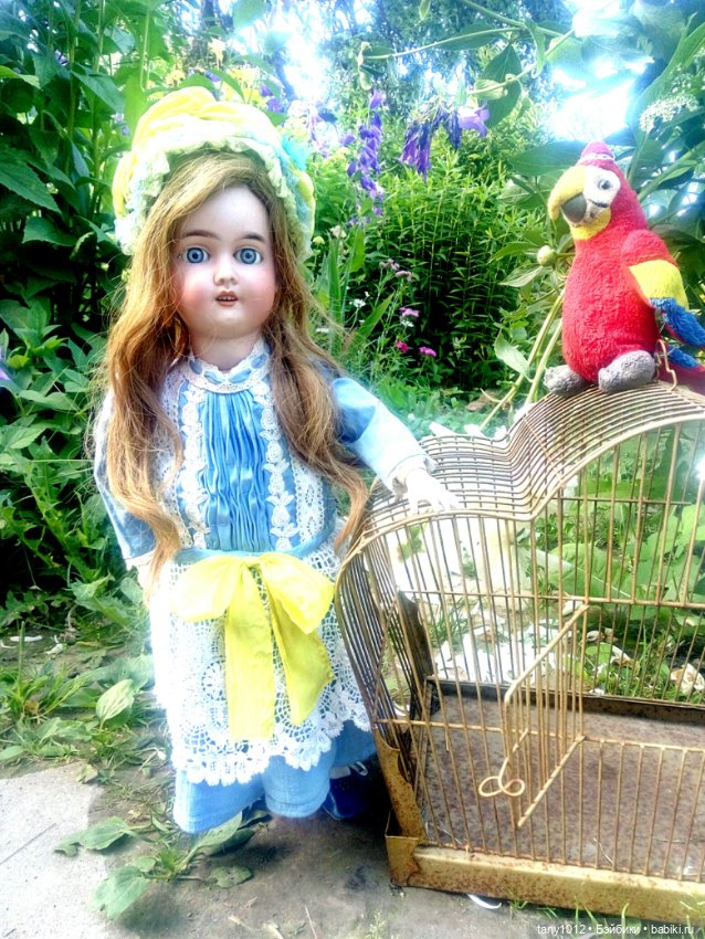 Голубоглазая красавица Kuhnlenz (фото 6)