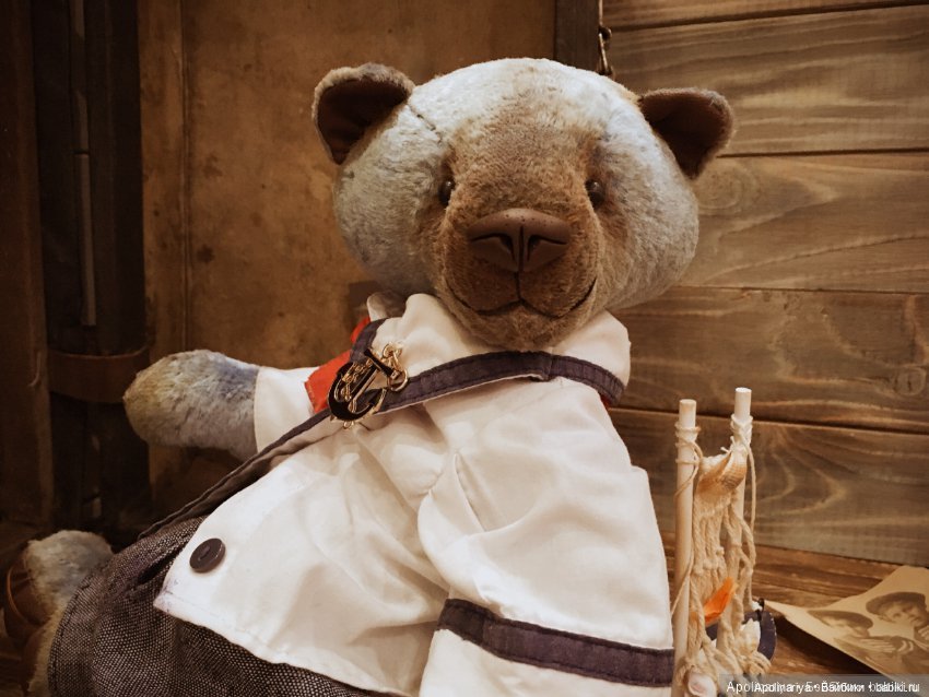 Мишка-тедди, влюблённый в море (фото 3)