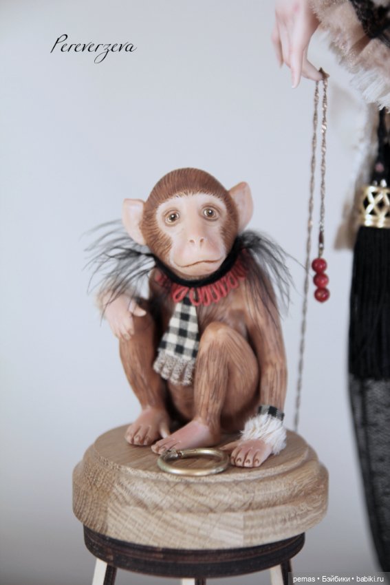 Дживон и Шимчон. Коллекция CIRCUS (фото 6)