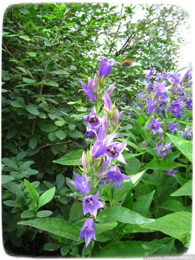 Прогулка в Треугольном сквере (фото 6)