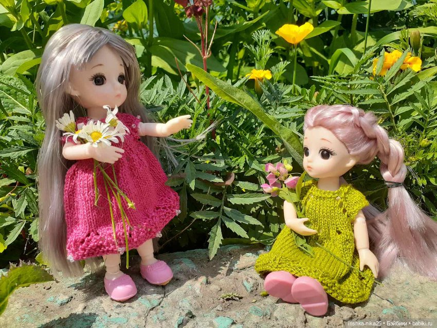 За ягодкой малинкой — Разные шарнирные куклы (не БЖД): редкие