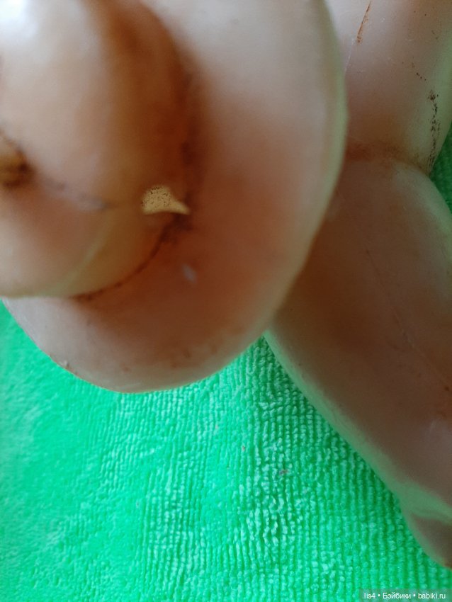 Чистим внутреннюю часть конечности (фото 3)