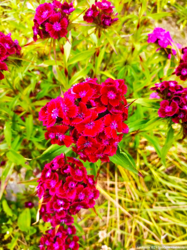 Пайпер — Куклы Barbie (Барби): Looks