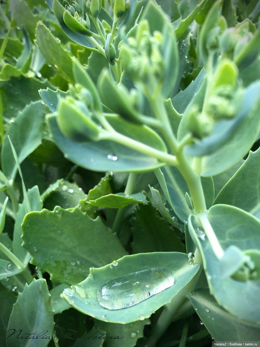 Дачница (блиц-версия) — Игровые куклы Zwergnase (Цвергназе) Junior: Джуниор (фото 3)