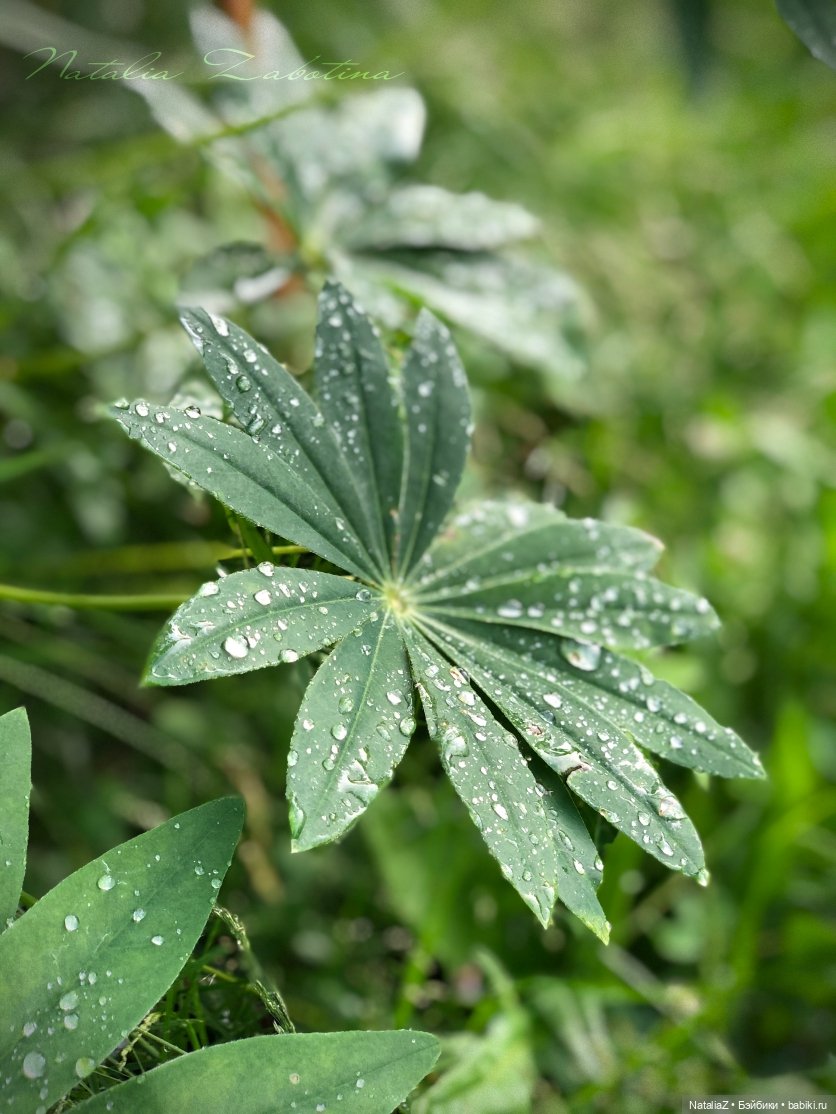 Дачница (блиц-версия) — Игровые куклы Zwergnase (Цвергназе) Junior: Джуниор (фото 8)