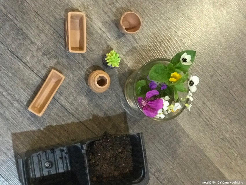 Отдых в саду — Фотоистории с куклами BJD (БЖД): сериалы (фото 7)