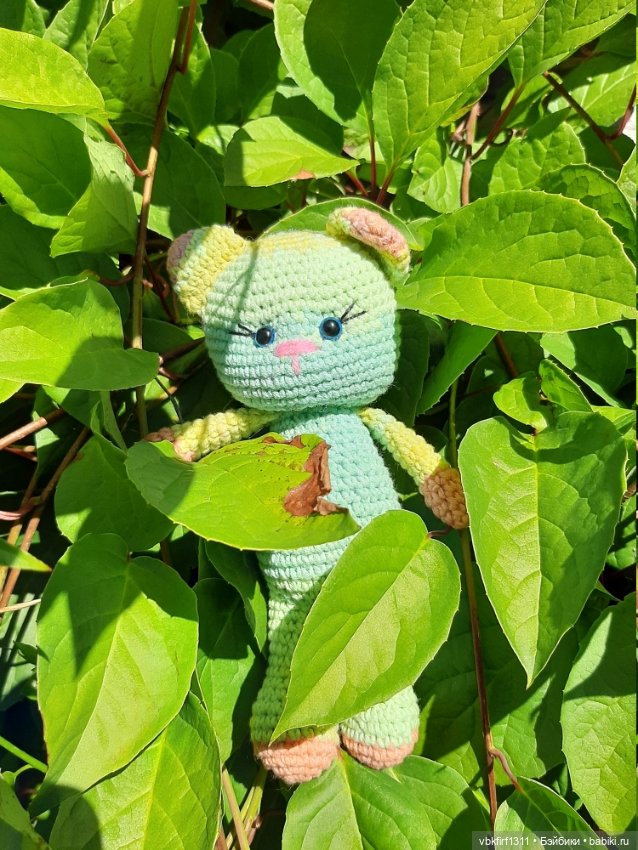 Муська своими руками — Другие хобби и увлечения: сад