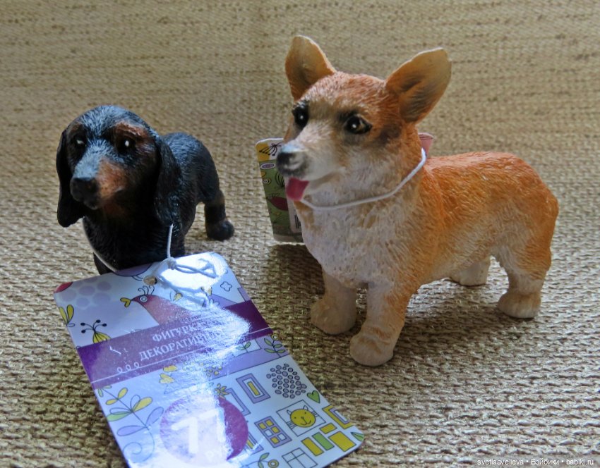 Кому нужны собачки — В мире животных: смешные фото питомцев и зверей