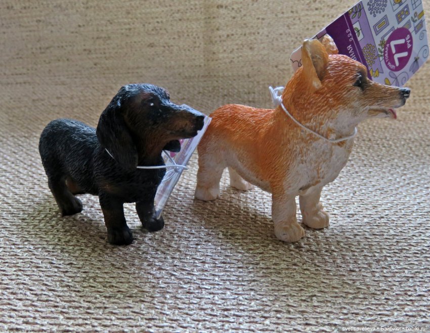 Кому нужны собачки — В мире животных: смешные фото питомцев и зверей (фото 2)