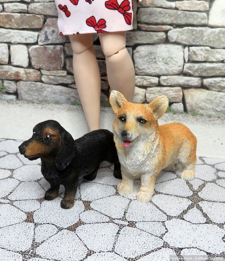 Кому нужны собачки — В мире животных: смешные фото питомцев и зверей (фото 5)