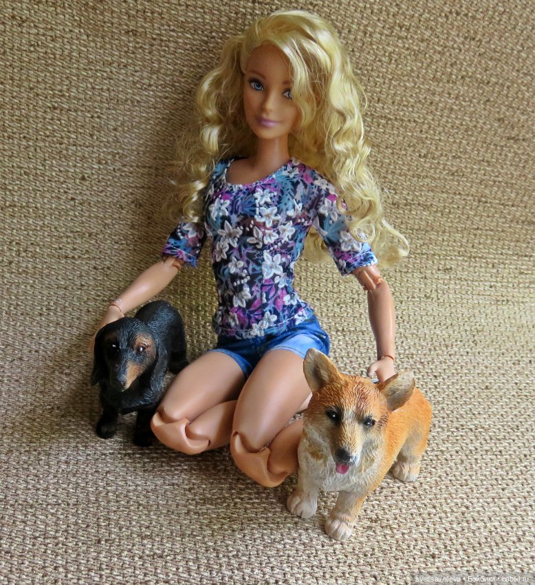 Кому нужны собачки — В мире животных: смешные фото питомцев и зверей (фото 3)