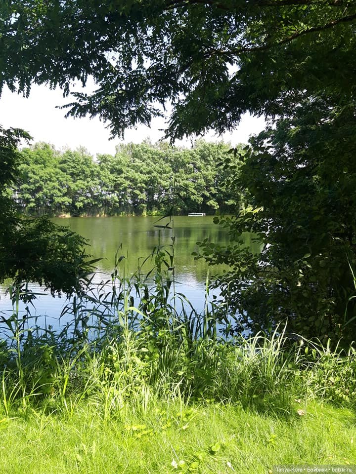 Экскурсия в одно из имений бывшего президента. Приглашаю (фото 3)