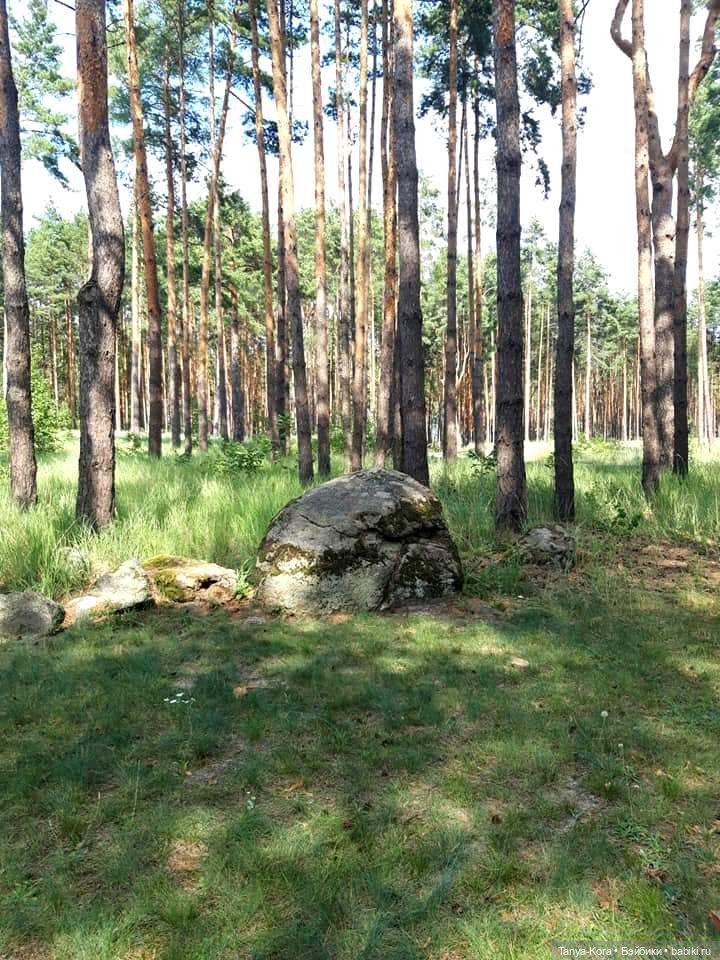 Экскурсия в одно из имений бывшего президента. Приглашаю