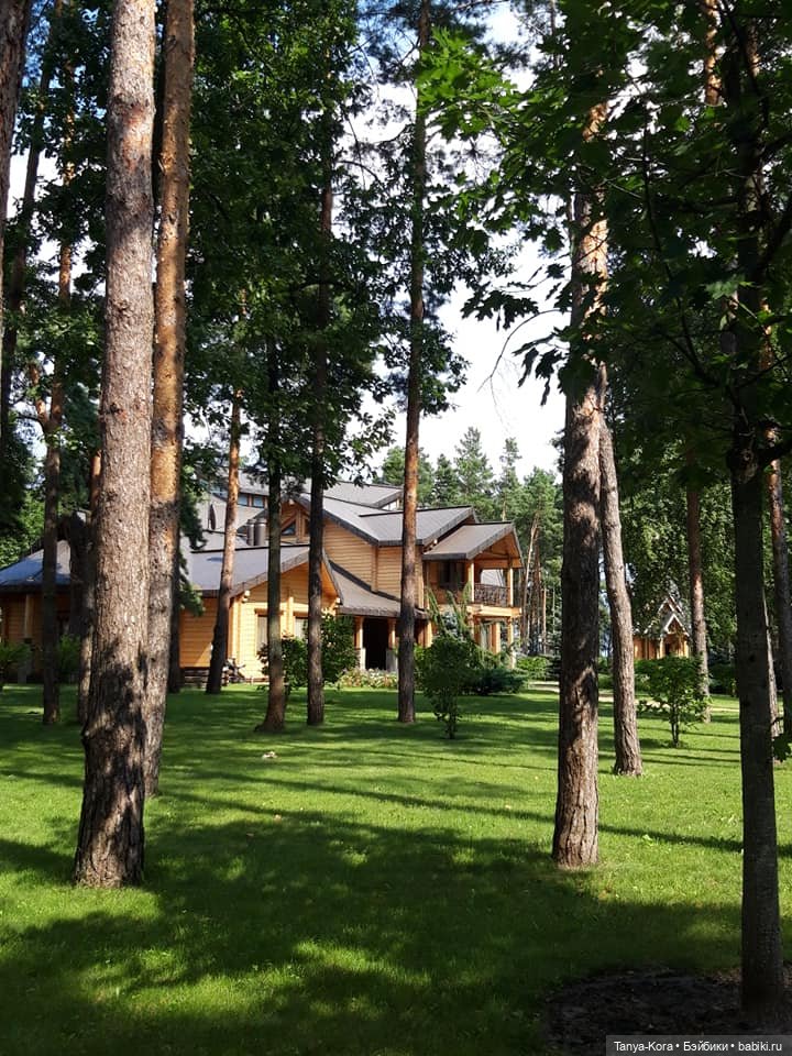 Экскурсия в одно из имений бывшего президента. Приглашаю (фото 10)