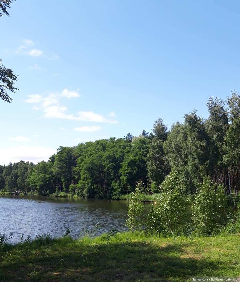 Экскурсия в одно из имений бывшего президента. Приглашаю (фото 4)